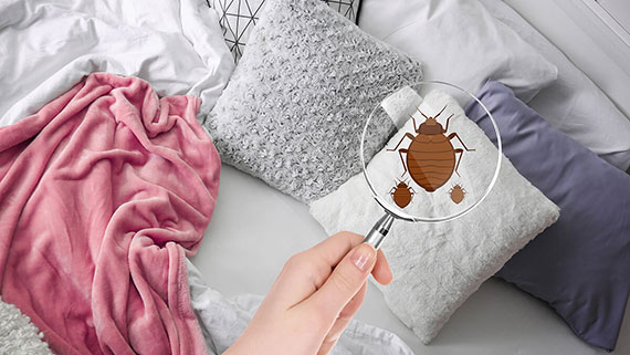 A frighten couple in bed barely peeking over bed sheet