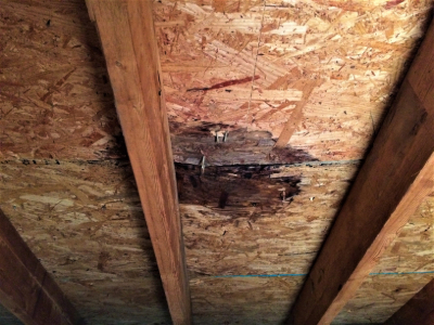 Holes in attic